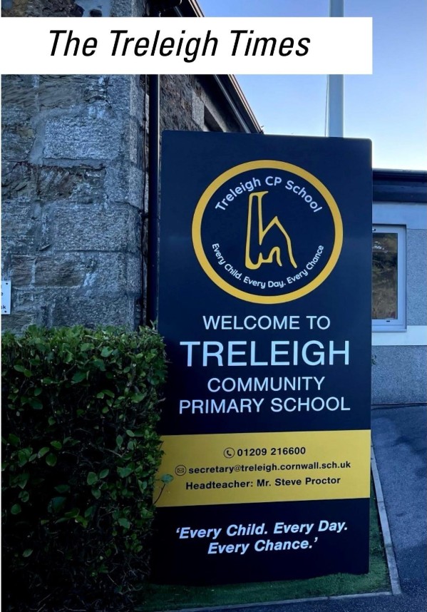 Treleigh Community Primary School Newsletters